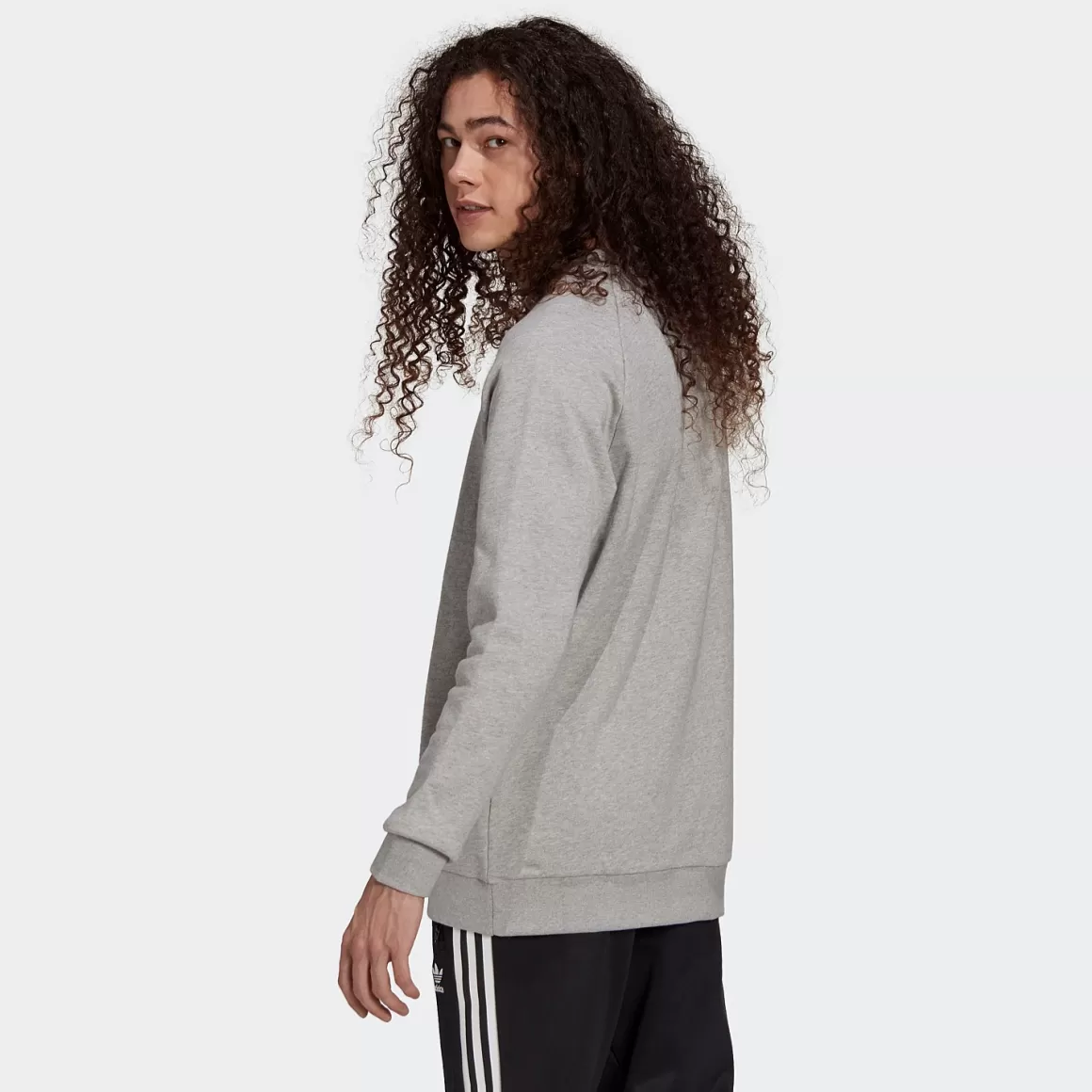 Adidas Originals Adicolor Classics Trefoil Crewneck Sweatshirt Shop