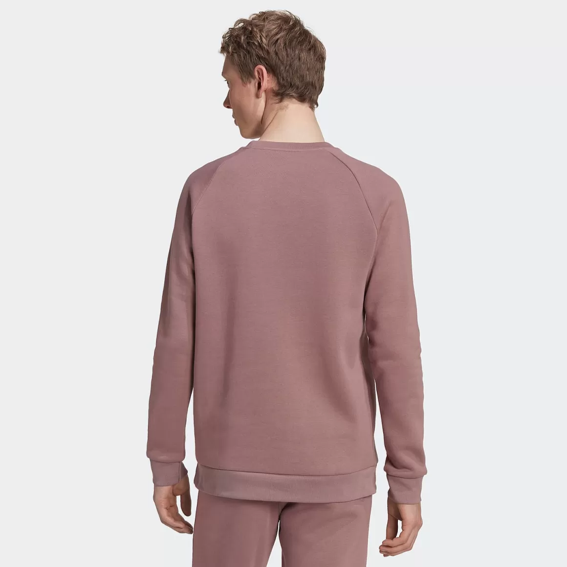 Adidas Originals Adicolor Essentials Trefoil Crewneck Sweatshirt Best Sale